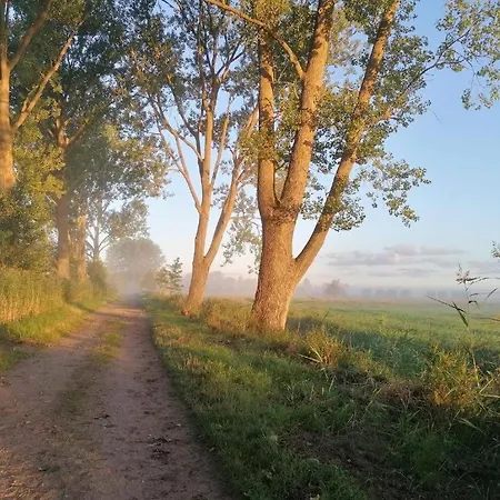 Auszeit Am Moor Duvensee